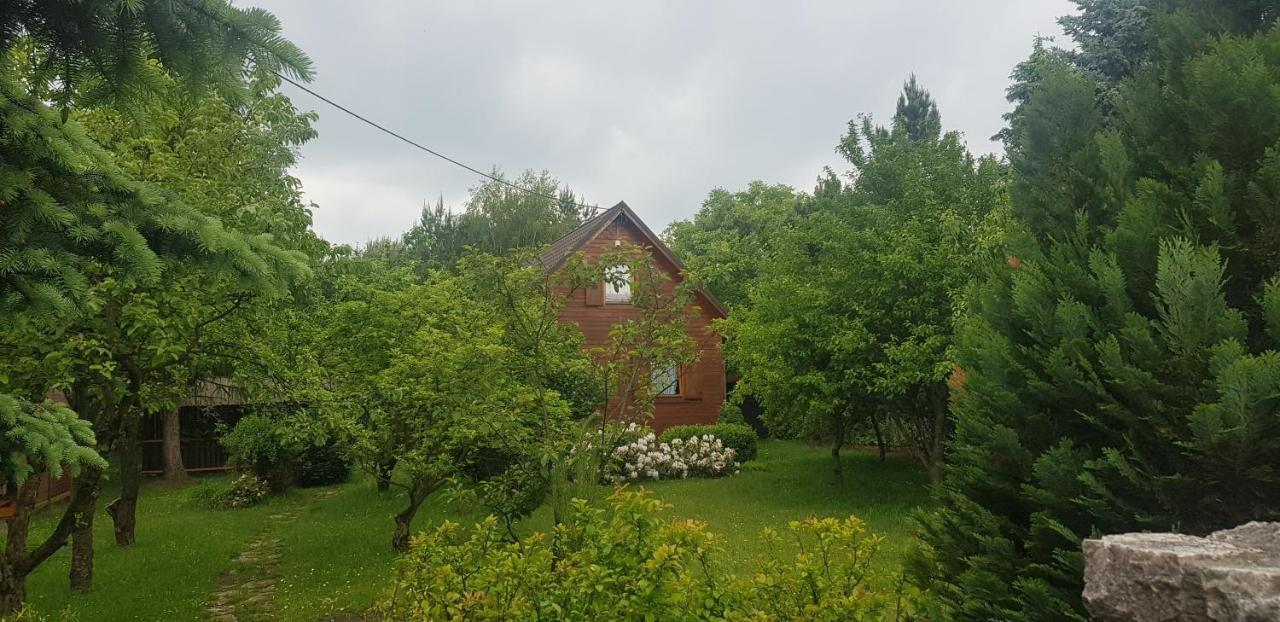 Szyszka I Roza Domek Na Jurze Zelazko Exterior photo